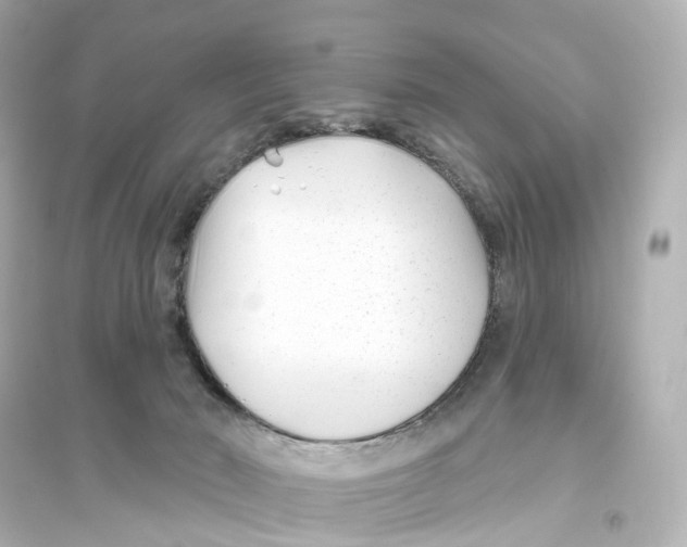 X0000093760030200711131158