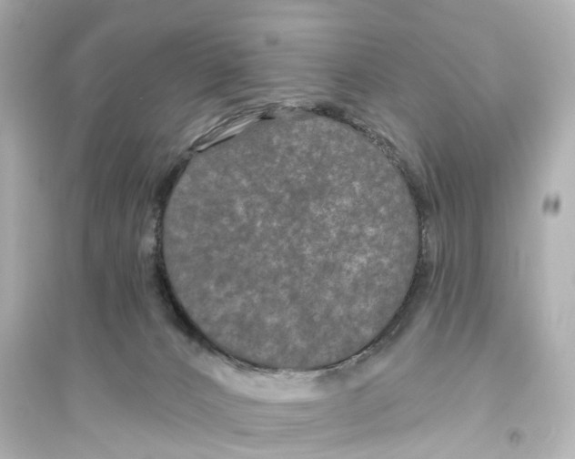 X0000093760032200711131158