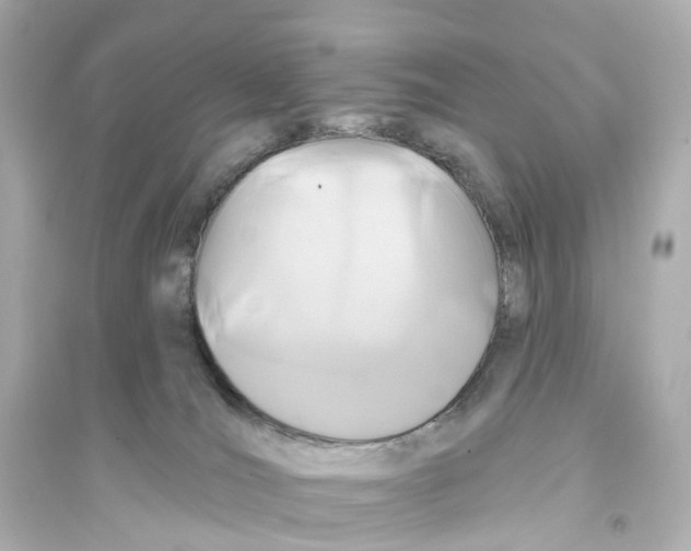 X0000093760036200711131158