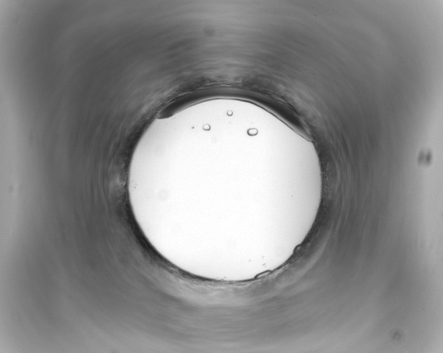 X0000093760040200711131158