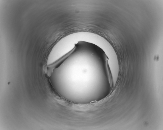 X0000093760041200711131158