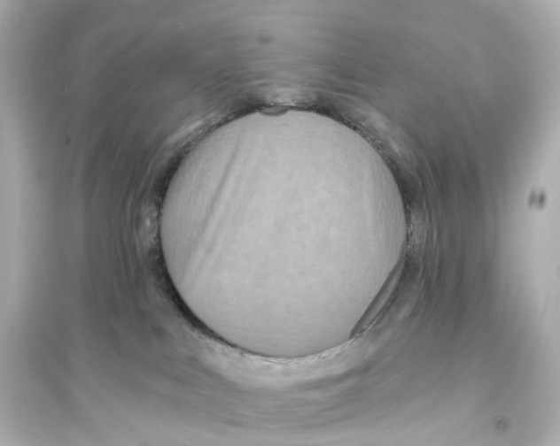 X0000093760043200711131158