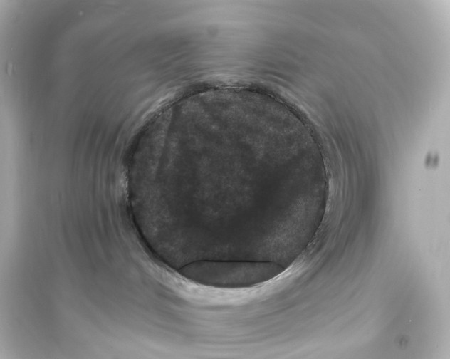 X0000093760048200711131158