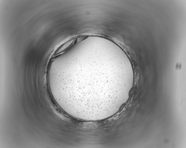 X0000093760050200711131158