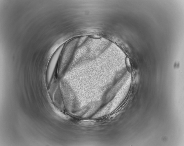 X0000093760051200711131158