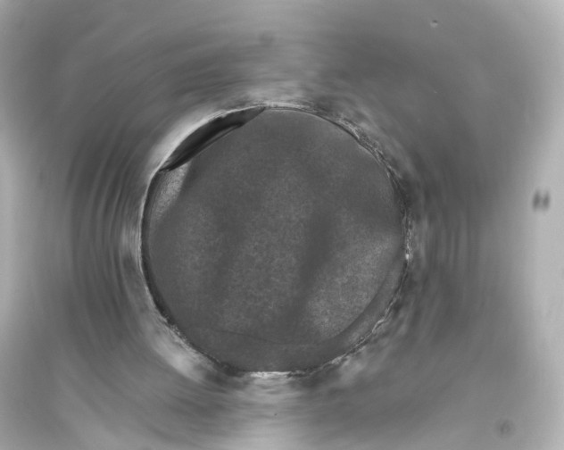 X0000093760052200711131158