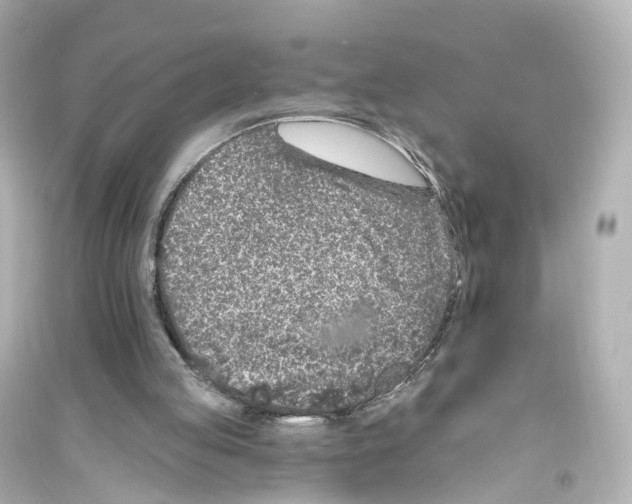 X0000093760053200711131158