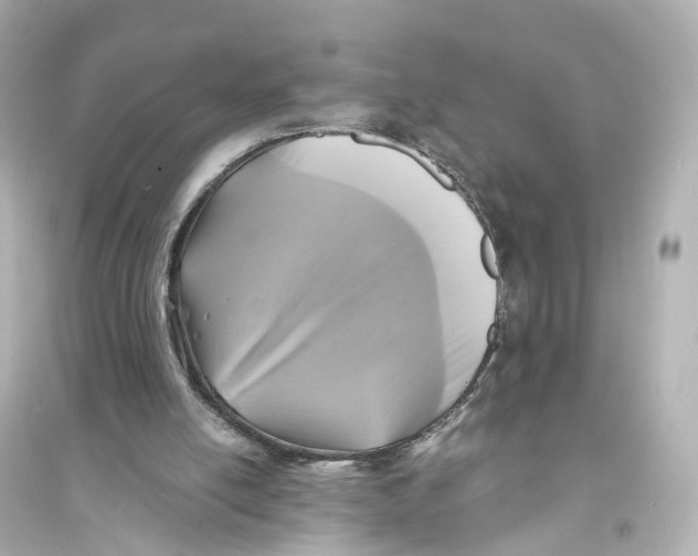 X0000093760054200711131158