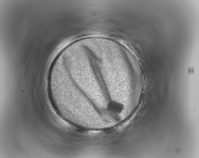 X0000093760055200711131158