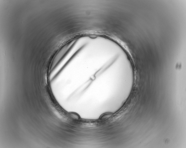 X0000093760061200711131158