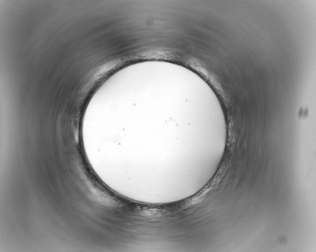 X0000093760062200711131158