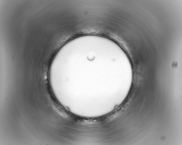 X0000093760065200711131158