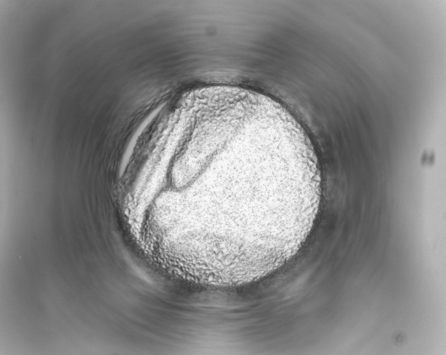 X0000093760069200711131158