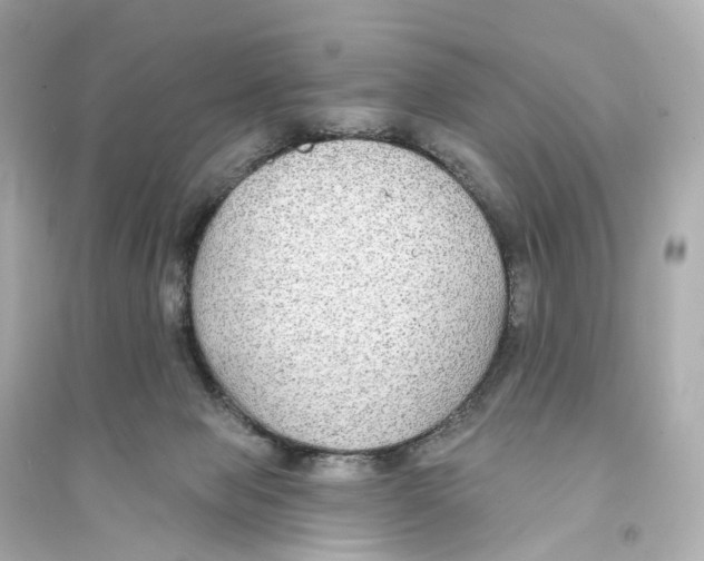 X0000093760077200711131158