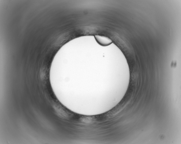 X0000093760079200711131158