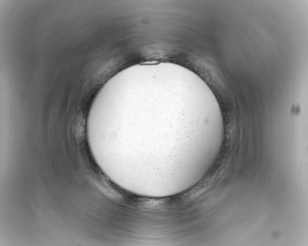 X0000093760081200711131158