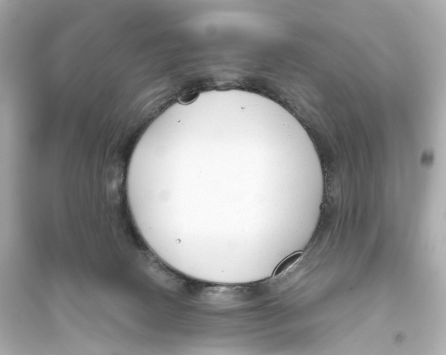 X0000093760082200711131158