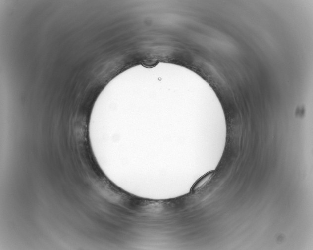 X0000093760083200711131158