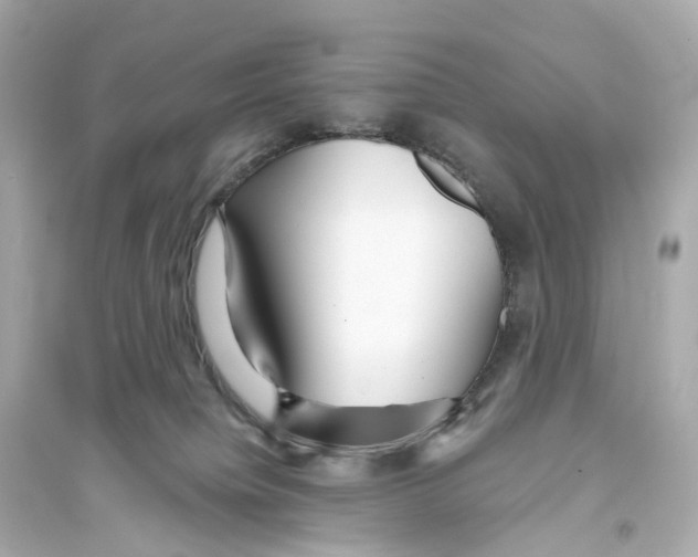 X0000093760084200711131158