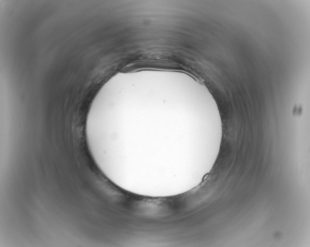 X0000093760086200711131158