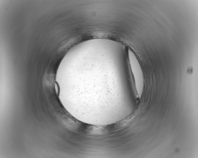 X0000093760093200711131158