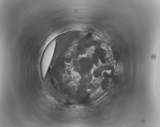 X0000093760099200711131158