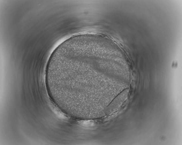 X0000093760100200711131158