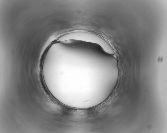 X0000093760102200711131157