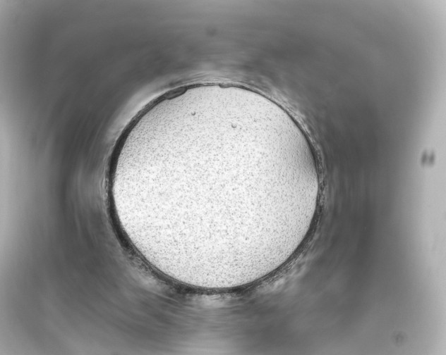 X0000093760103200711131157