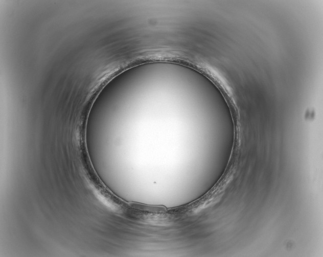 X0000093760105200711131157