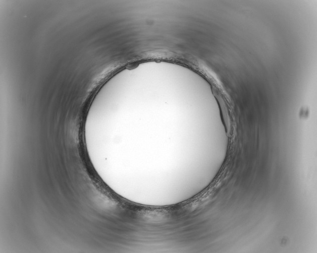 X0000093760106200711131157