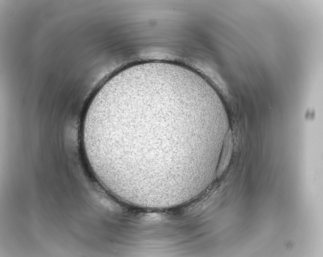 X0000093760111200711131157