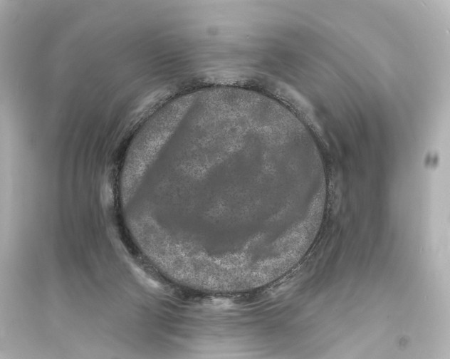 X0000093760114200711131157