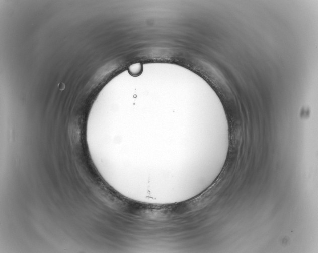 X0000093760120200711131157