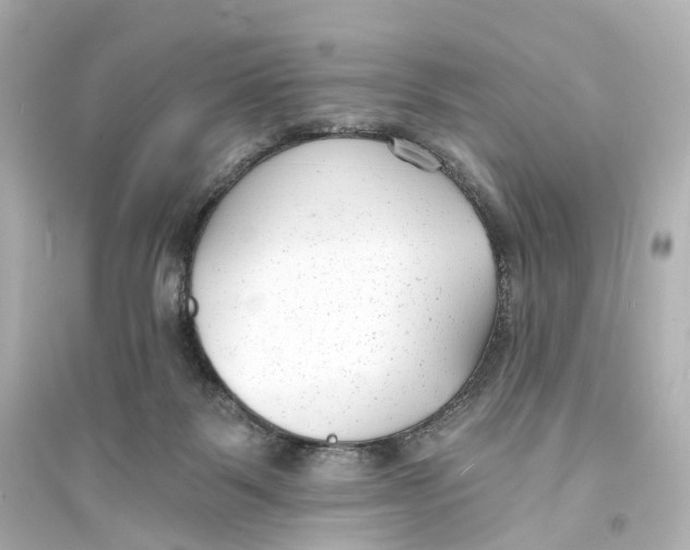 X0000093760123200711131157