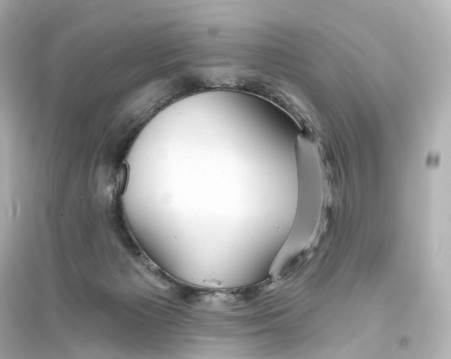 X0000093760125200711131157