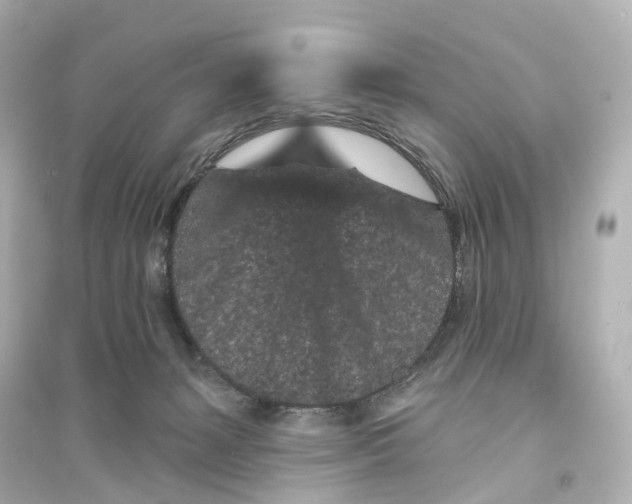 X0000093760127200711131157