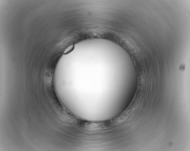 X0000093760129200711131157