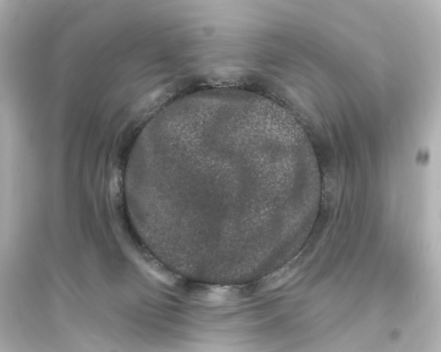 X0000093760130200711131157