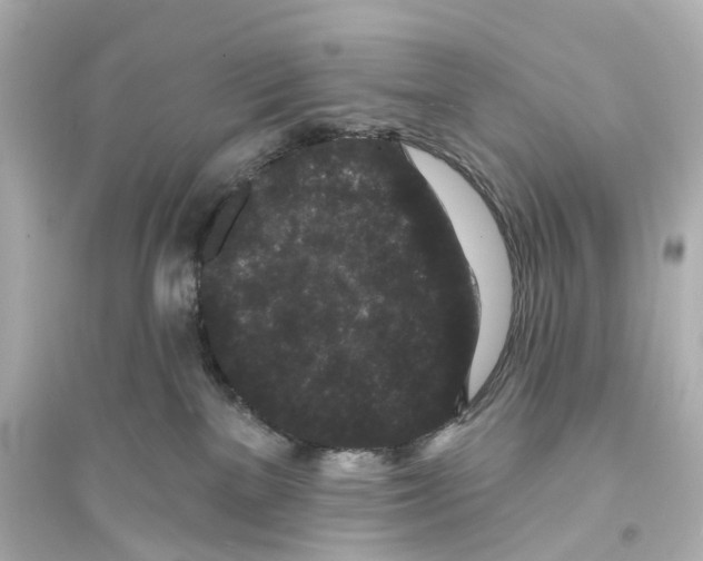 X0000093760137200711131157