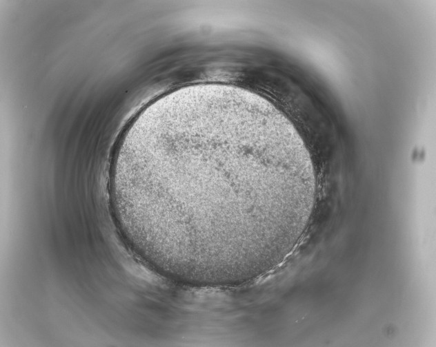 X0000093760146200711131156