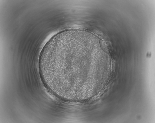 X0000093760147200711131156