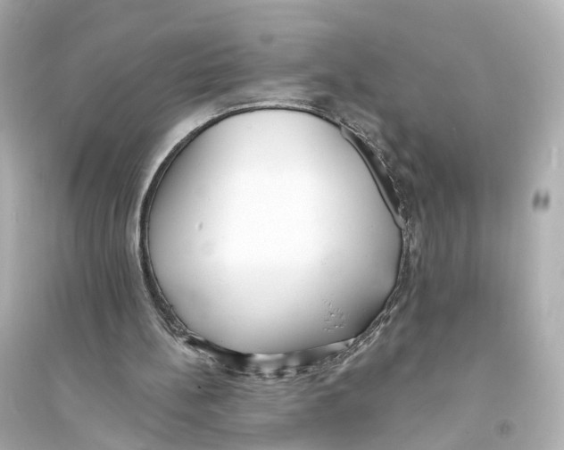 X0000093760148200711131156