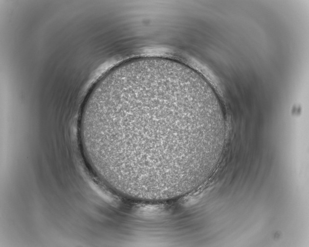 X0000093760155200711131156