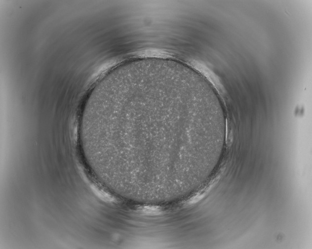 X0000093760157200711131156