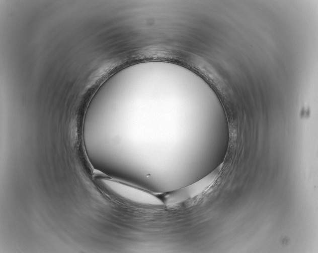 X0000093760158200711131156