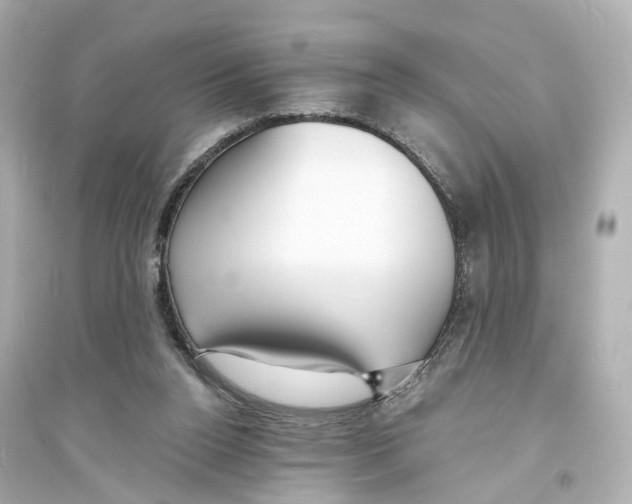 X0000093760160200711131156