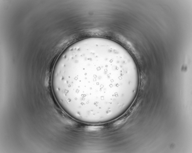 X0000093760161200711131156
