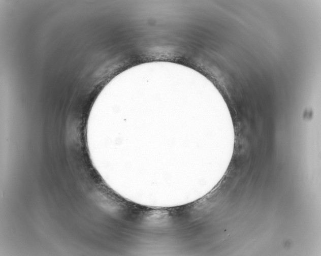 X0000093760162200711131156