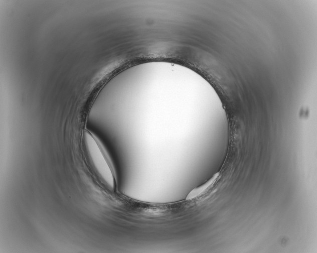 X0000093760164200711131157